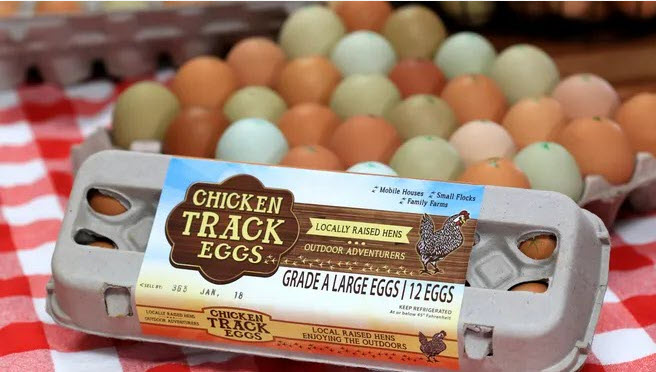 Dozen Free Range